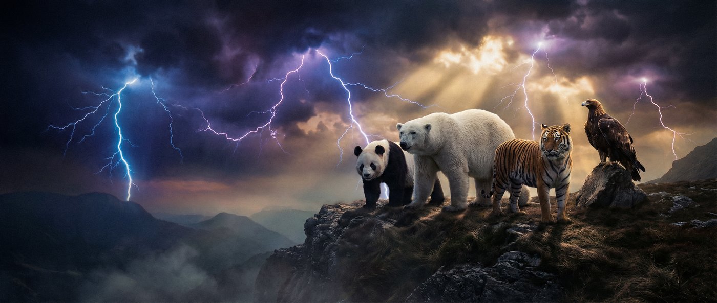 群P动物写真视频社区